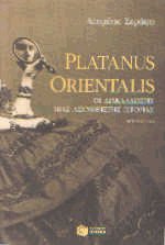 Platanus Orientalis.     