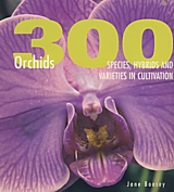 300 Orchids
