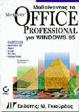   Microsoft office professional  windows 95