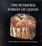 The petrified forest of Lesvos
