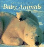 The World of Baby Animals