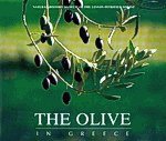 The olive in Greece
