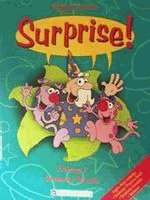 Surprise! Primary 2 Grammar practice B teacher's book