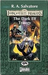 The dark elf trilogy