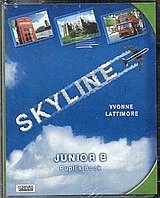 Skyline, junior B. Pupil's book