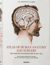 Bourgery, Atlas of Anatomy