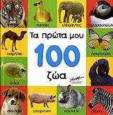    100 