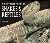 Snakes and Reptiles
