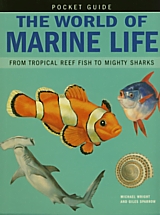 The World of Marine Life - pocket