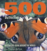 500 Butterflies