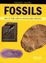 Fossils - pocket